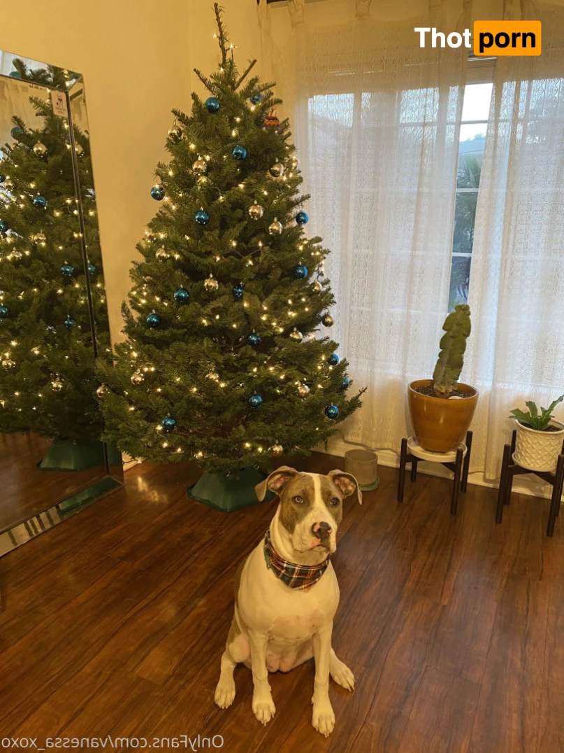 Vanessa Veracruz 8103481