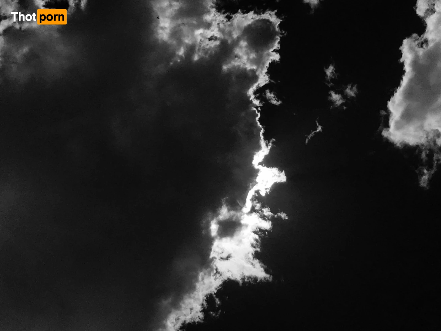 Vanessa Blue 10124546