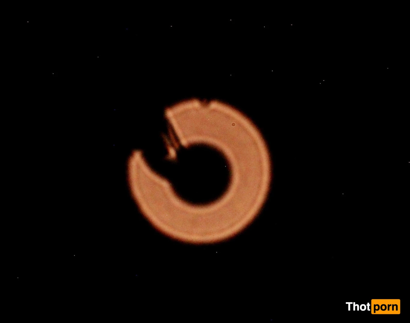 Vanessa Blue 10124656