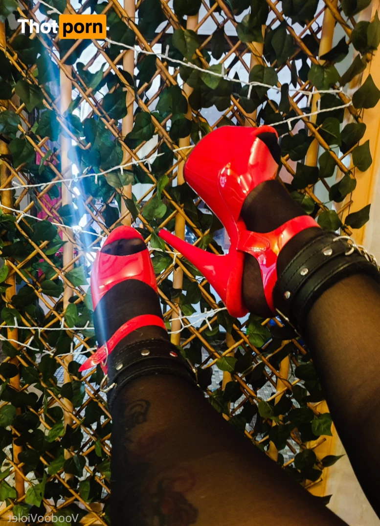 🦇VoodooViolet🦇 10123105