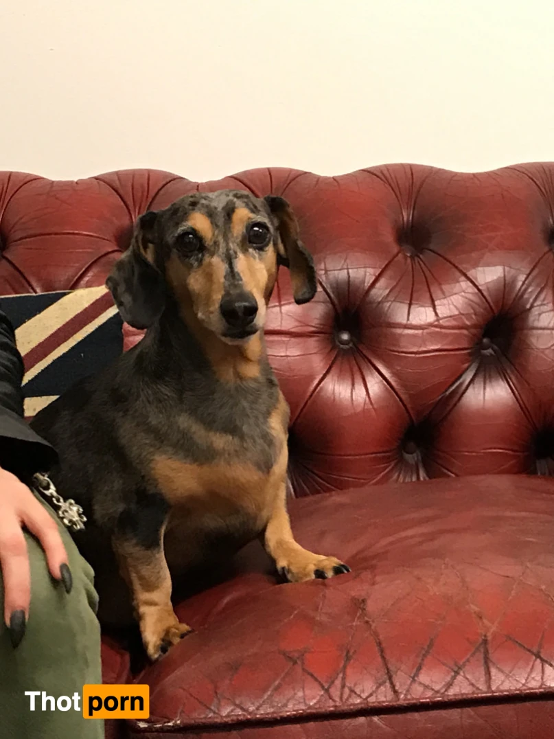 Xander Corvus 15850747