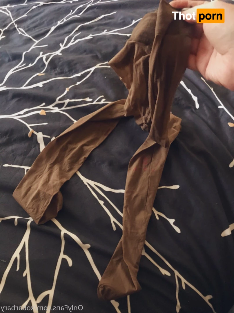 Barbary Rose 8077215