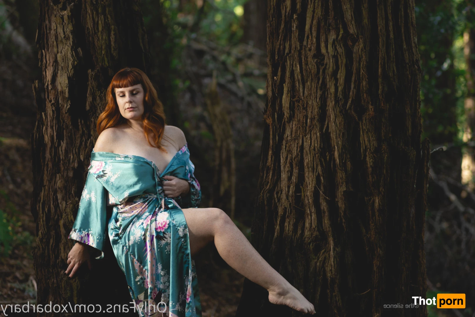 Barbary Rose 8077267