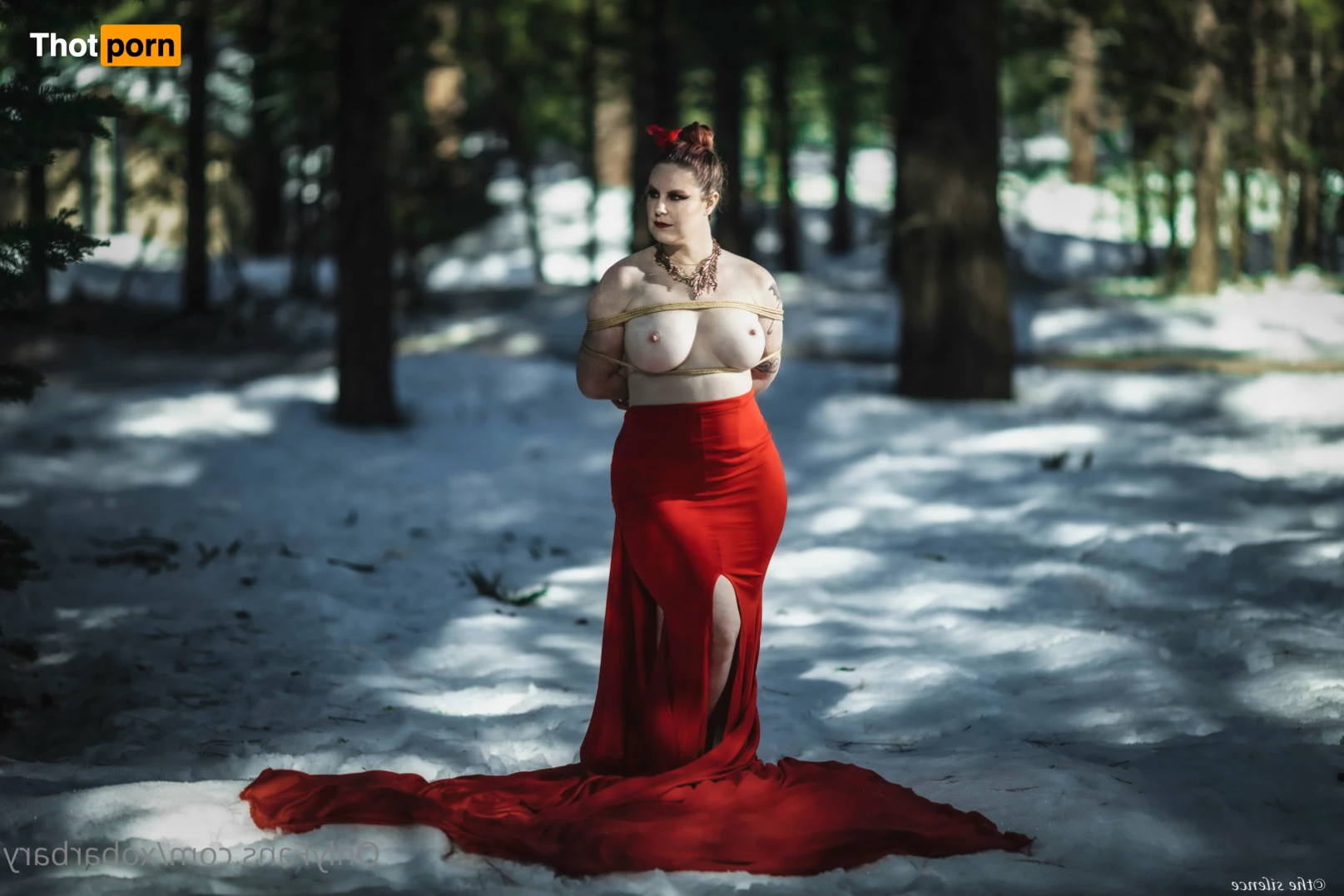 Barbary Rose 8077283