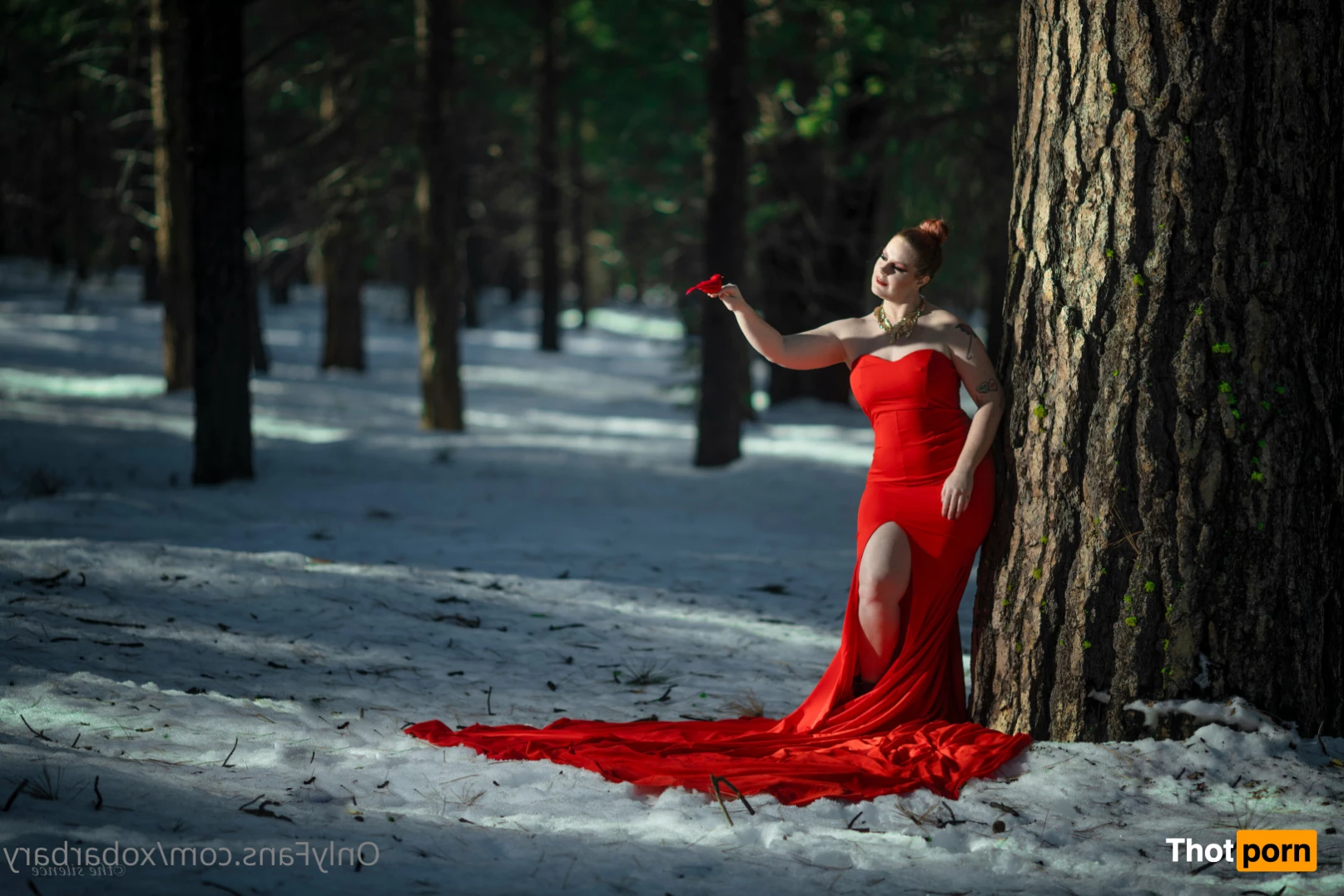 Barbary Rose 8077347