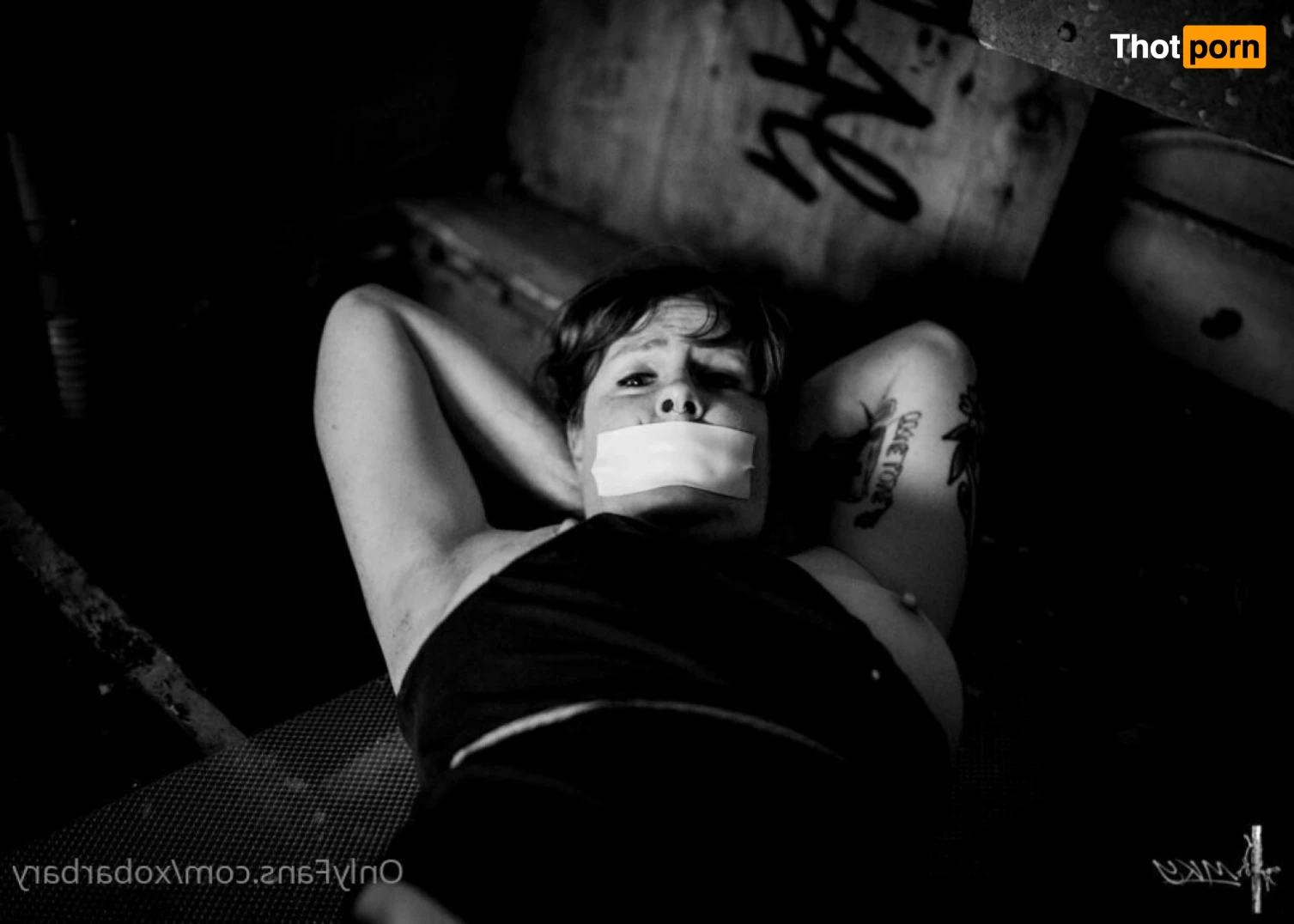 Barbary Rose 8077456