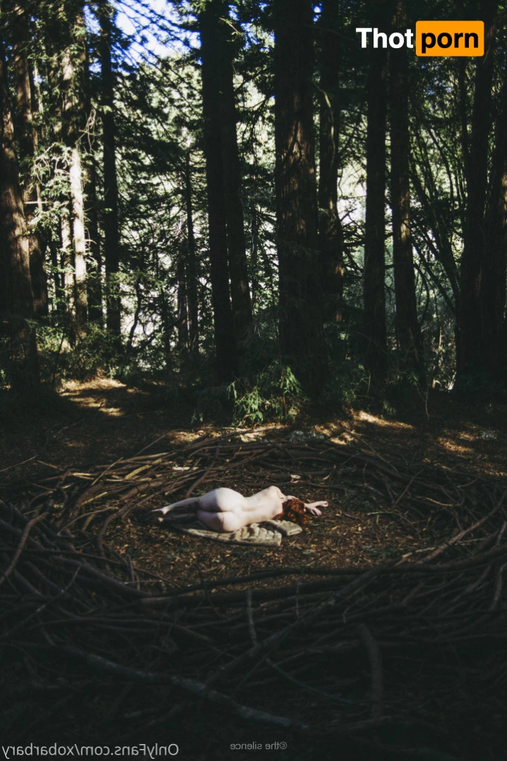 Barbary Rose 8077551