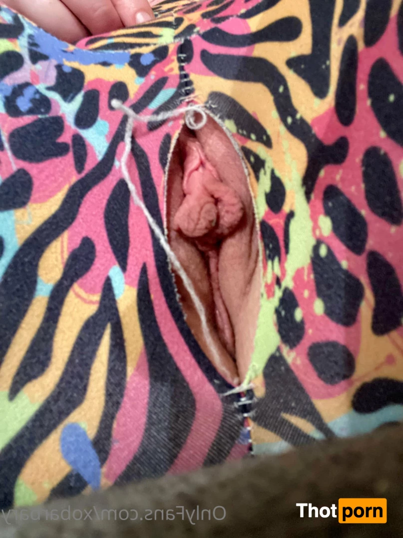 Barbary Rose 8077564