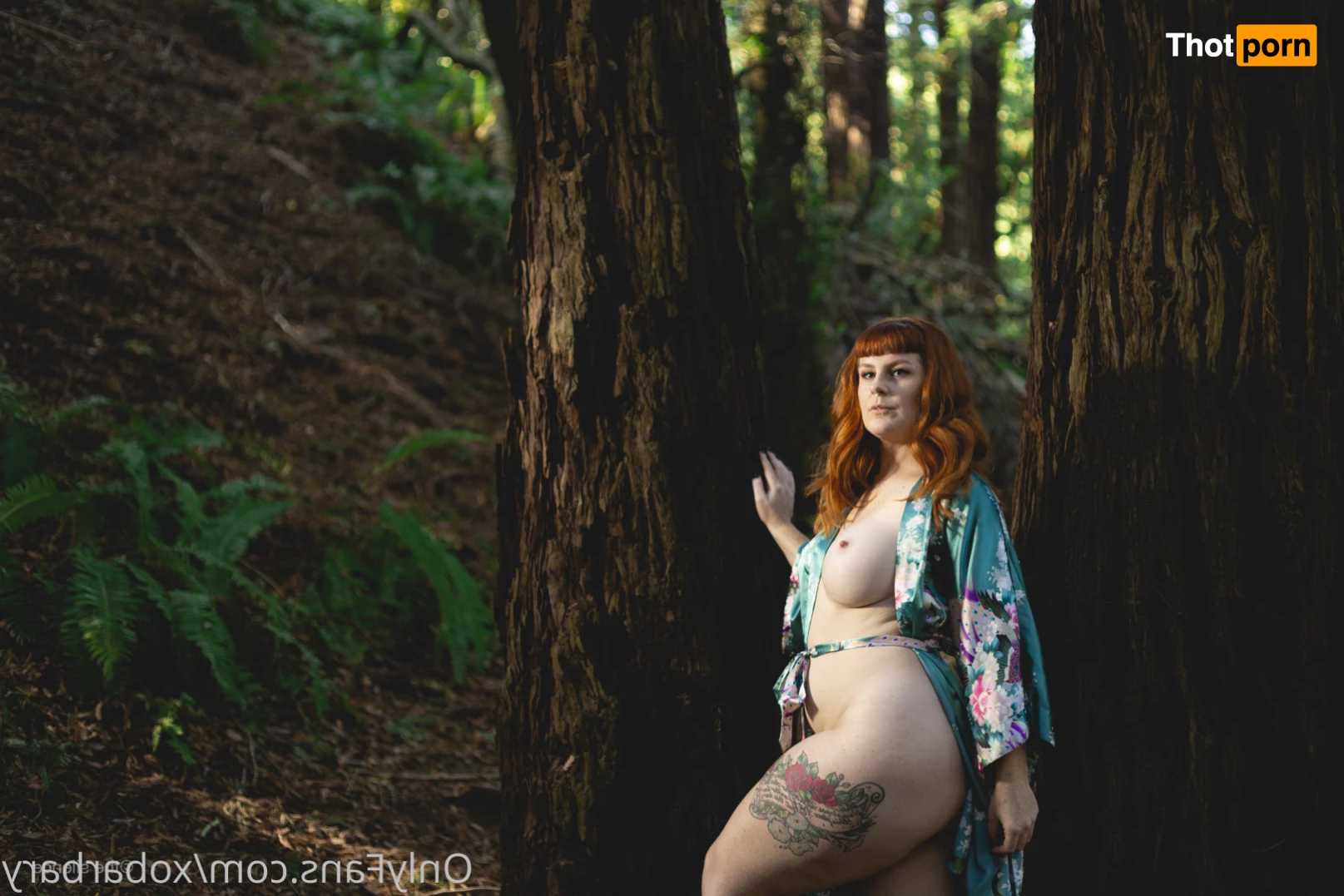 Barbary Rose 8077699