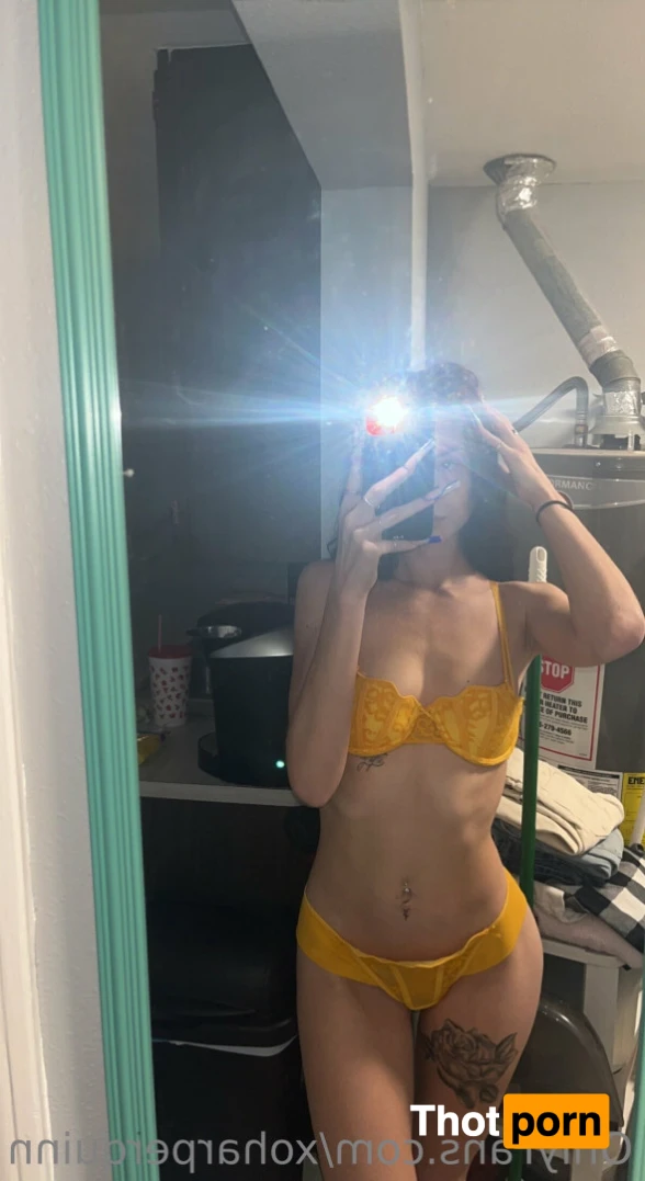 Harper Quinn 15785521