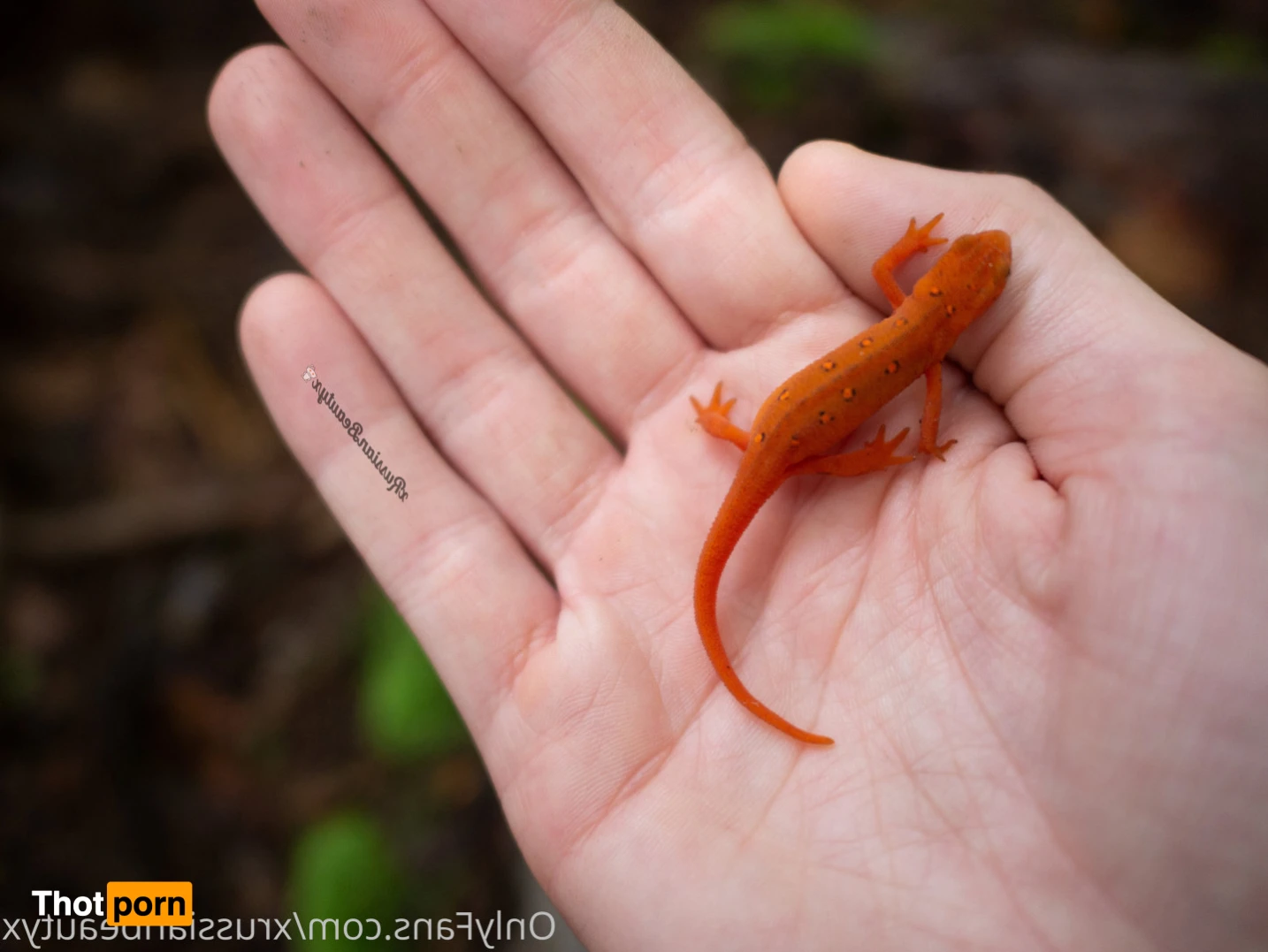 Madison Marz 15751729