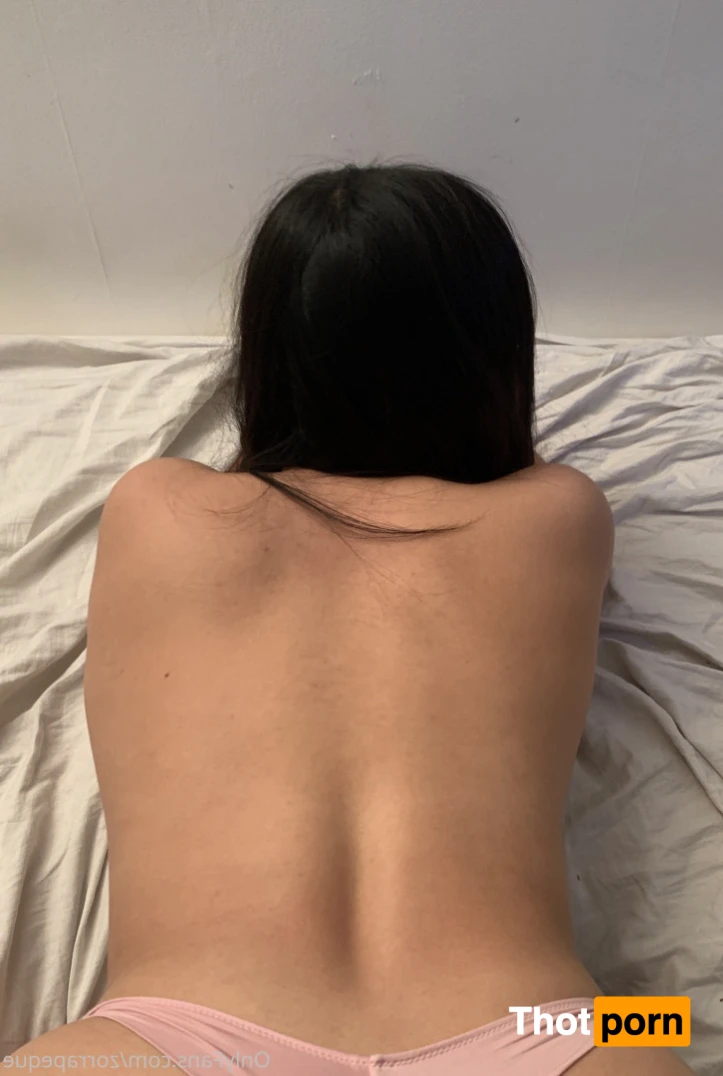 Zorra peque 🧸 15580092