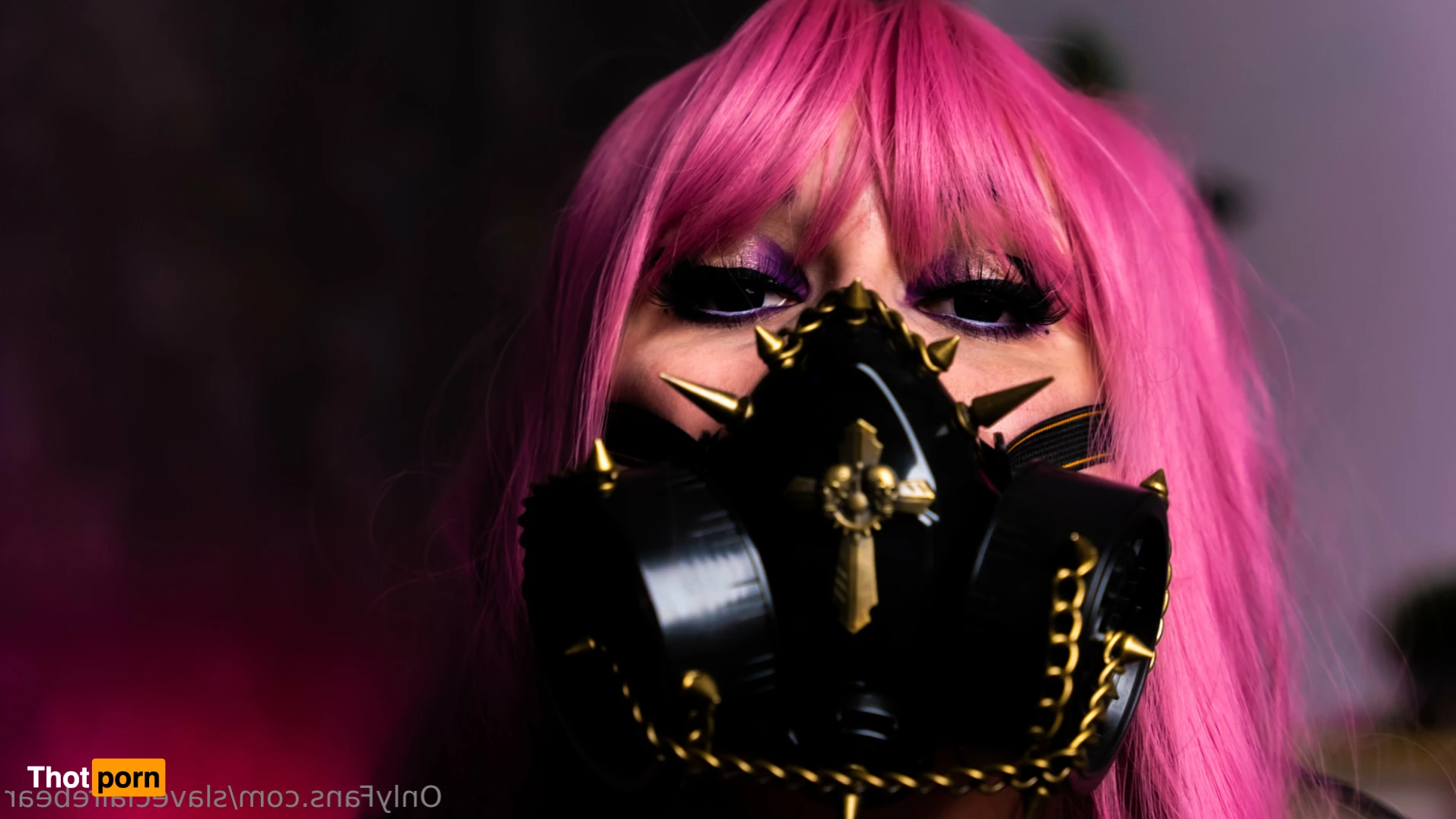 Claire Bear 🖤 8014561