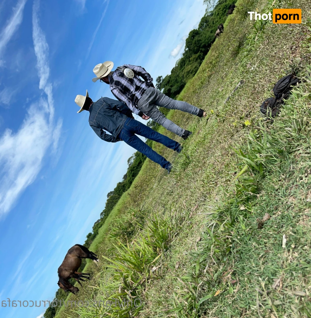 Rafa Torruco 15338012