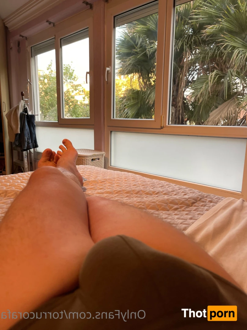 Rafa Torruco 15338094