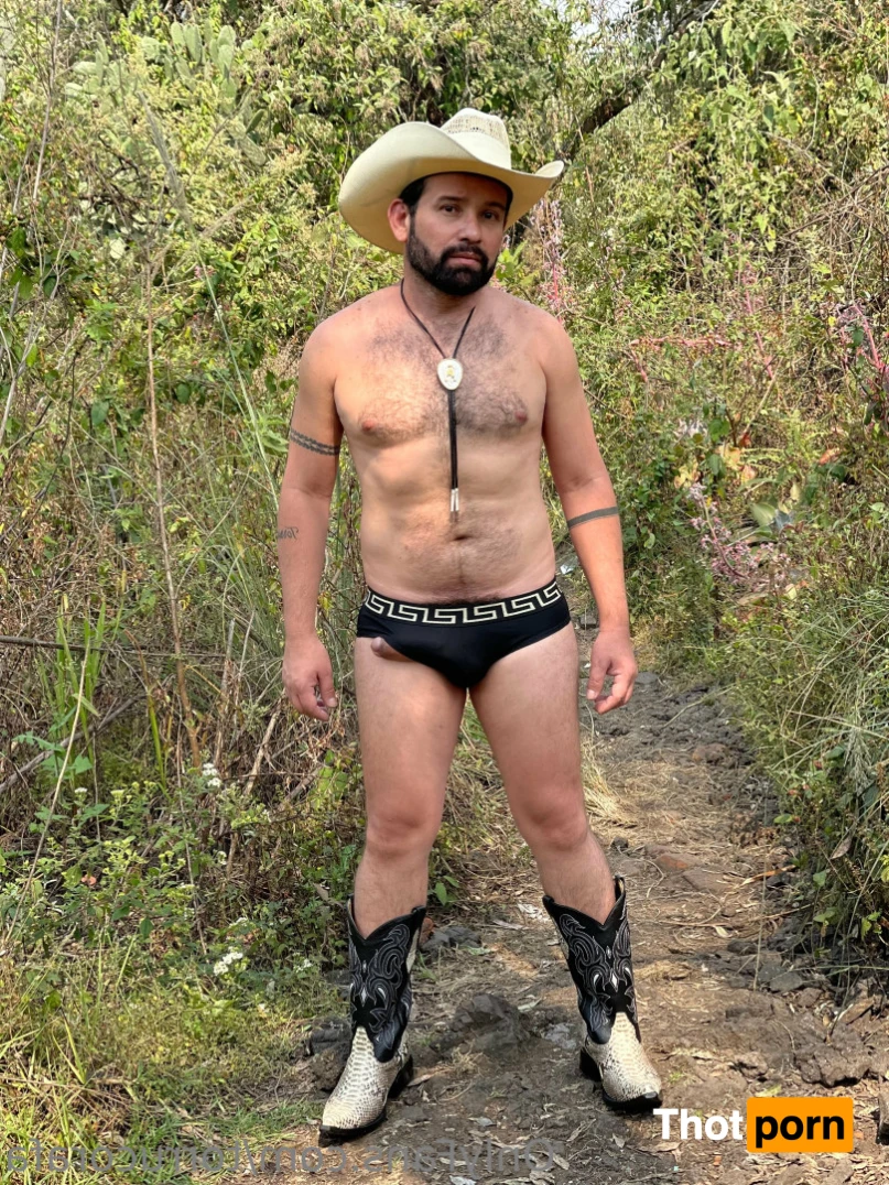 Rafa Torruco 15338197