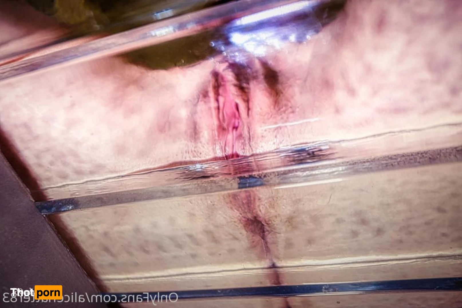 alicehatter83 16516872