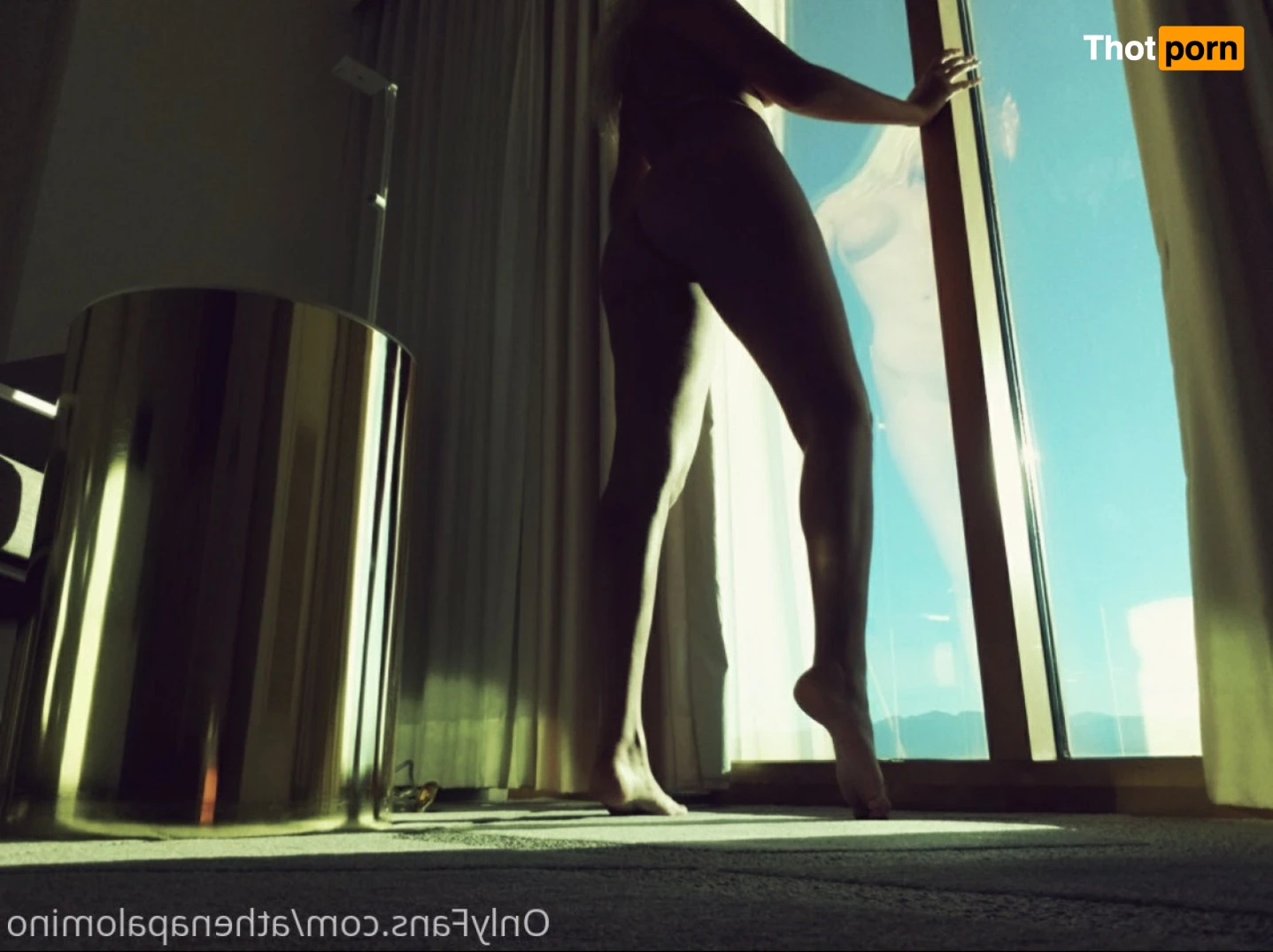 Athena Palomino 12709845