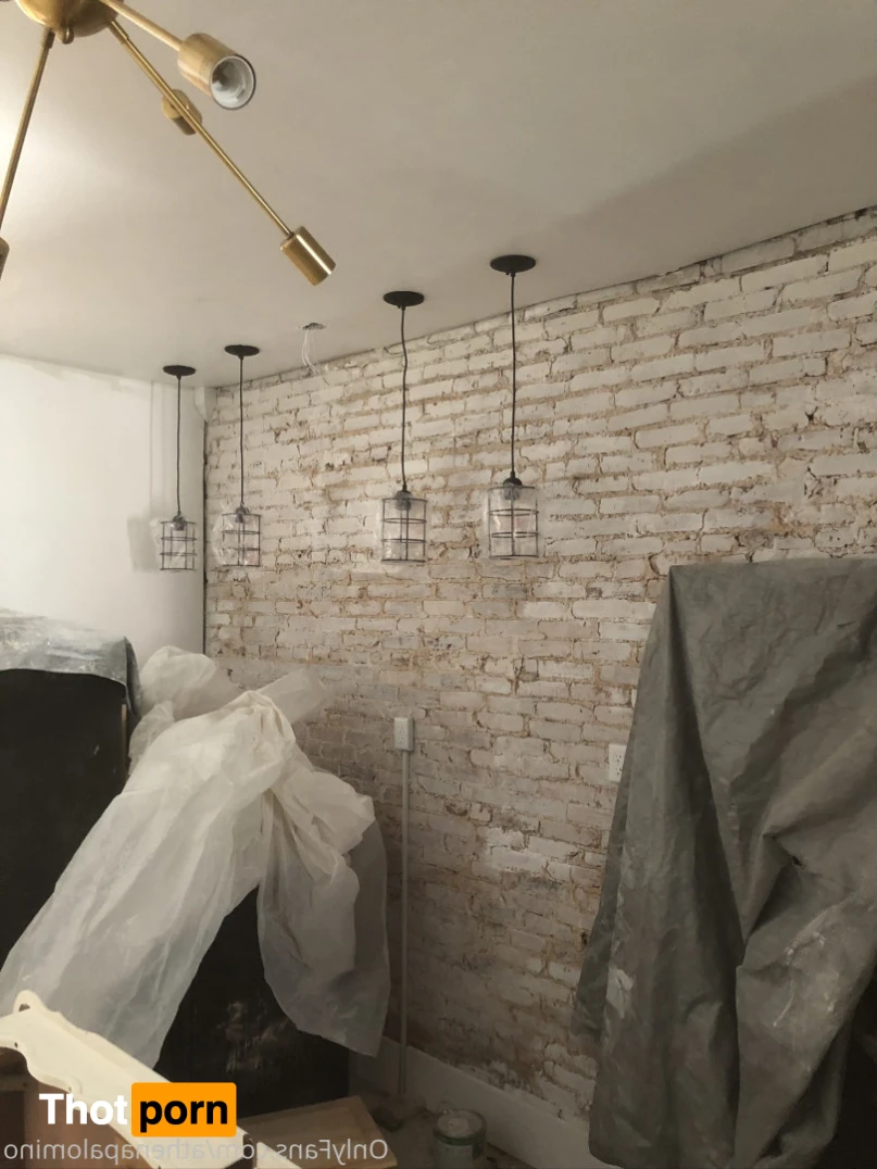 Athena Palomino 12739496