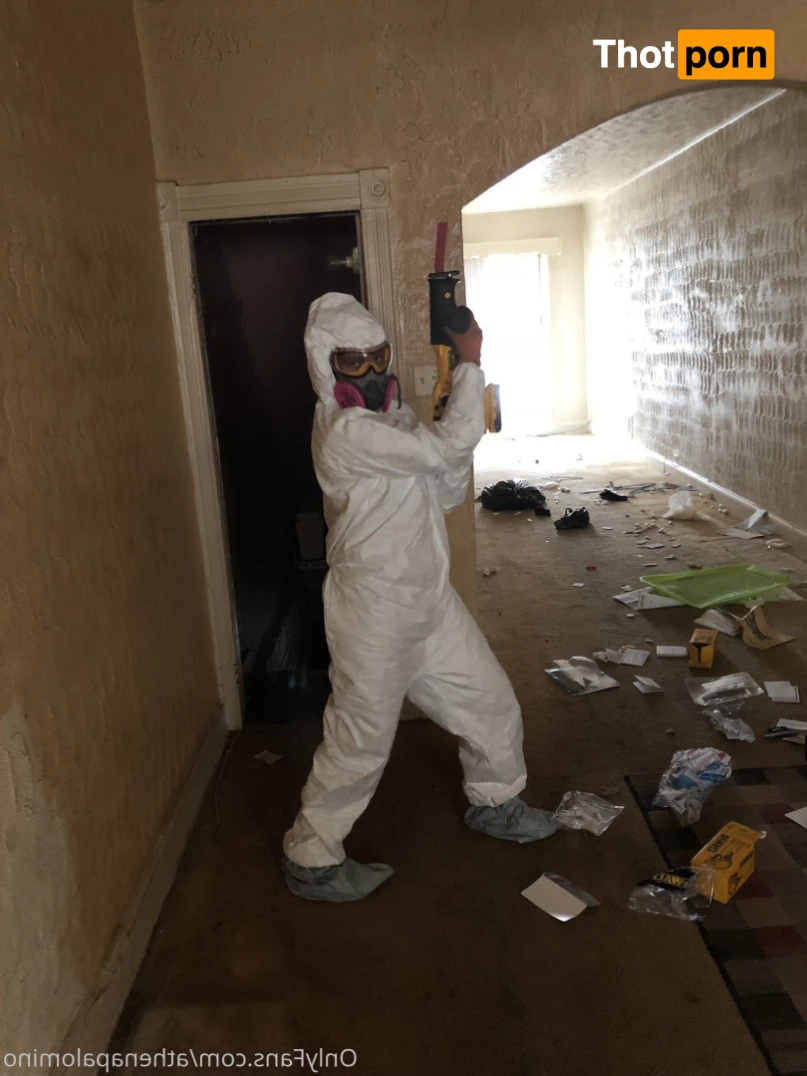 Athena Palomino 12751847