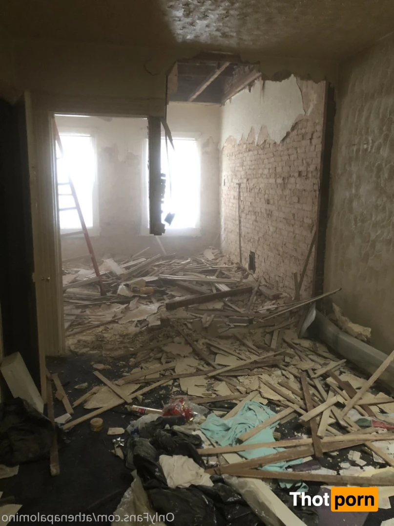 Athena Palomino 12780663