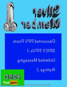 15284494