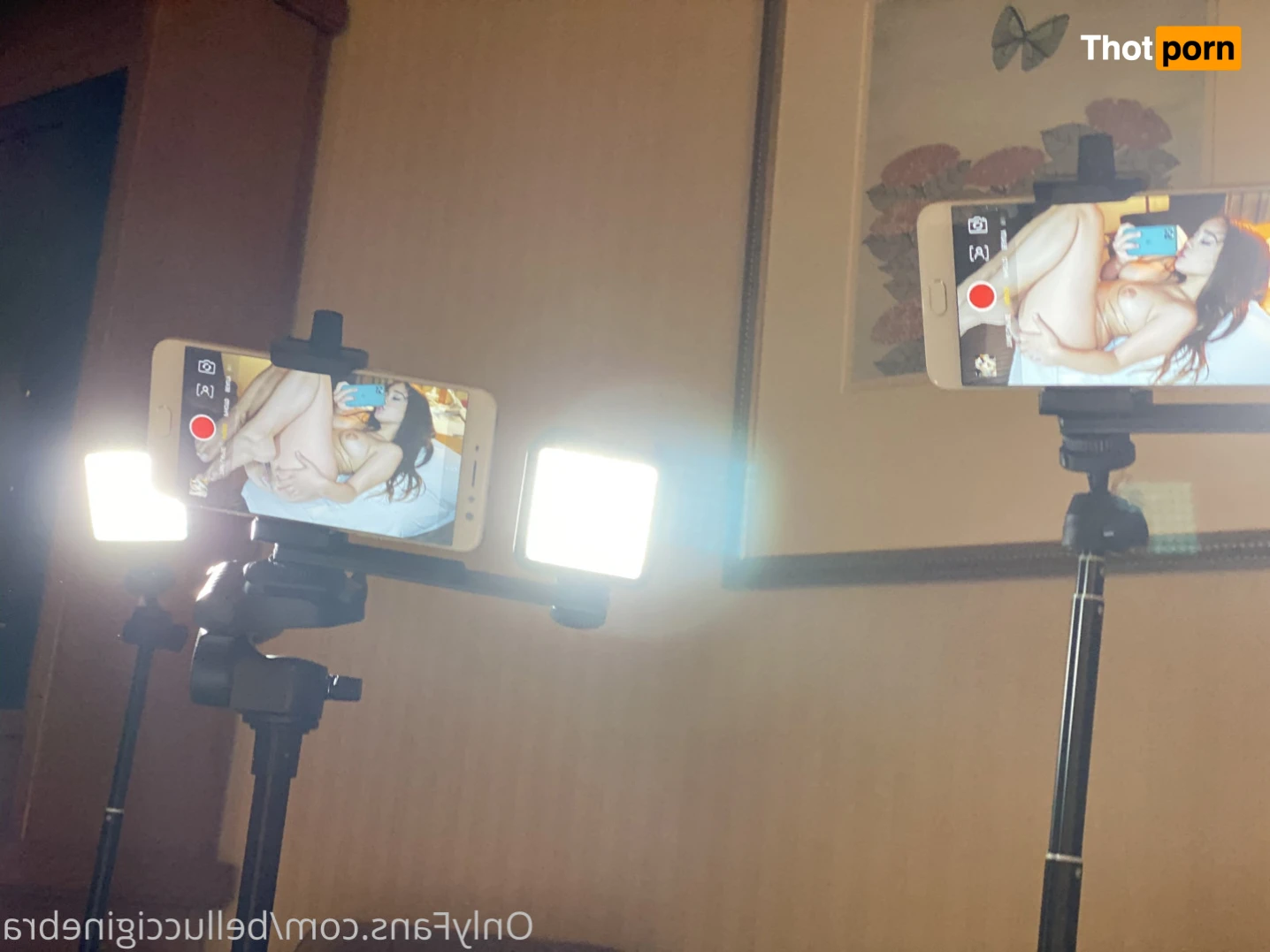 Ginebra Bellucci 13596827