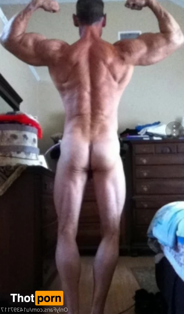 Mastersbodybuilder 12329914