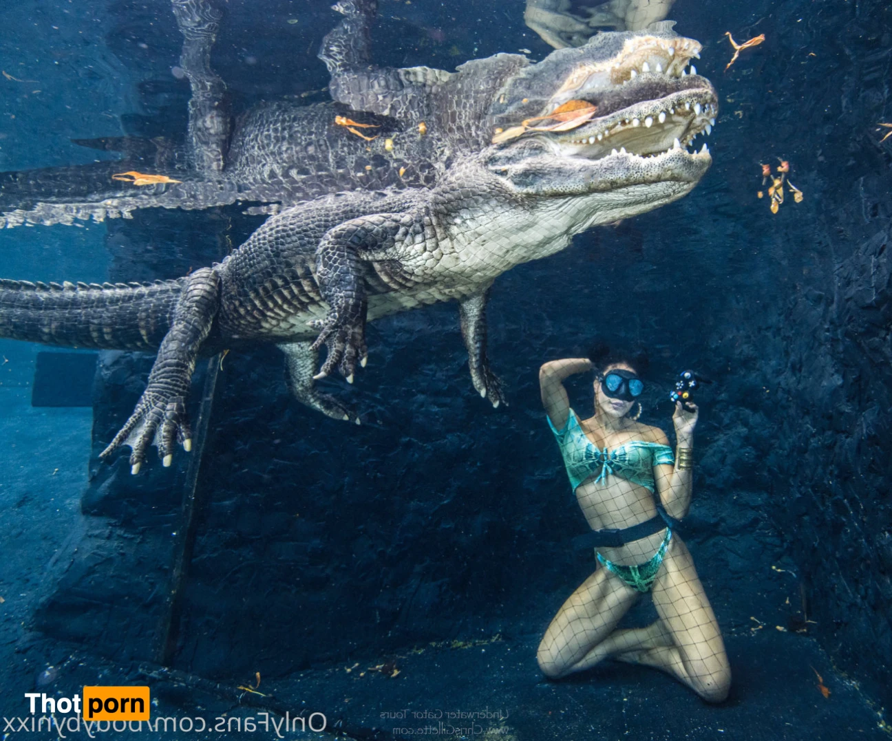 🌜Nicole 🌛 14863899