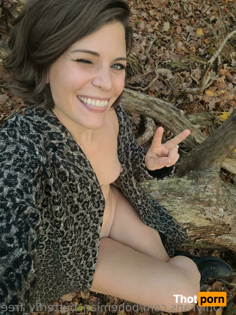 bohemian_butterfly_free 13779720