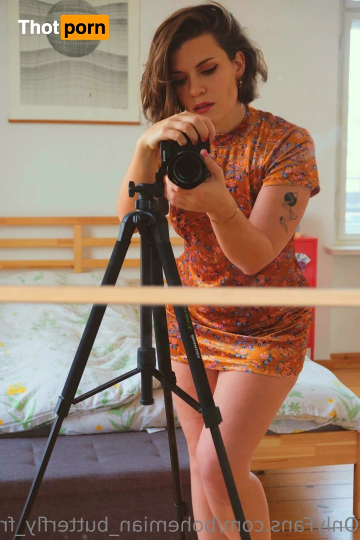 bohemian_butterfly_free 13785909