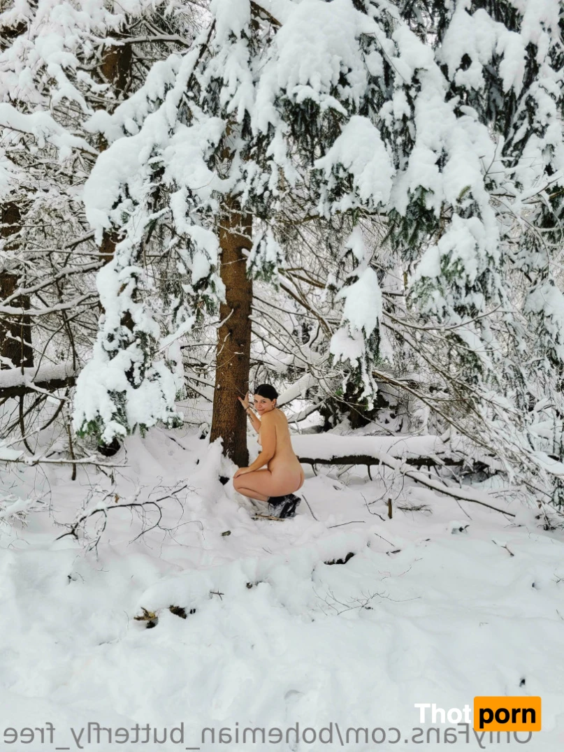 bohemian_butterfly_free 13793406