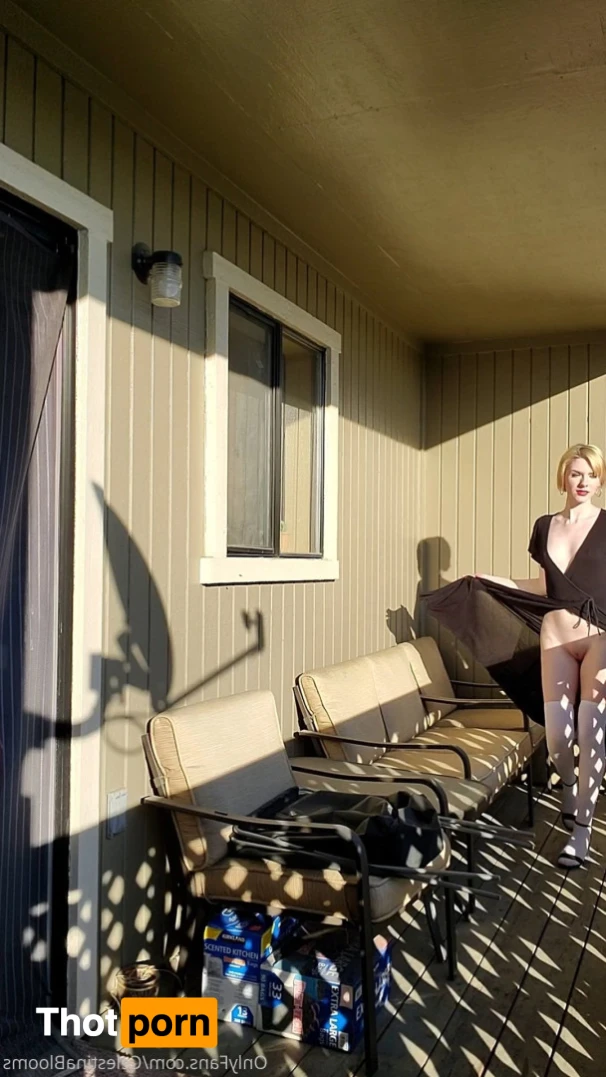 Celestina Blooms 16523838