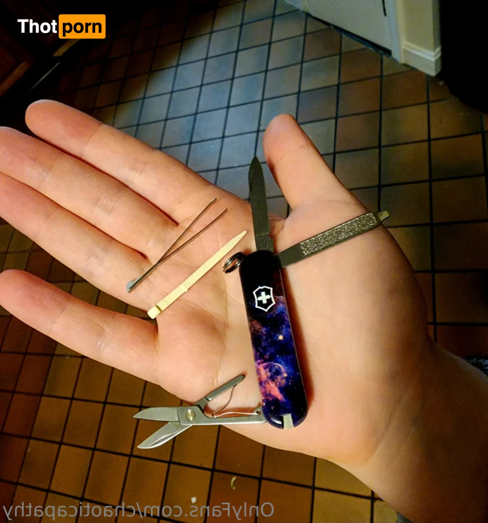 chaoticapathy 15191674