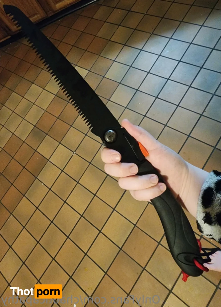 chaoticapathy 15191708