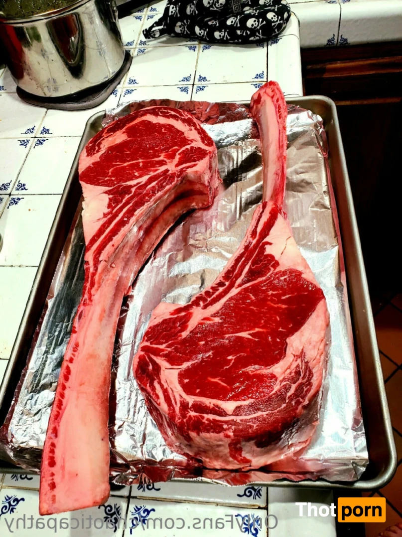 chaoticapathy 15191730