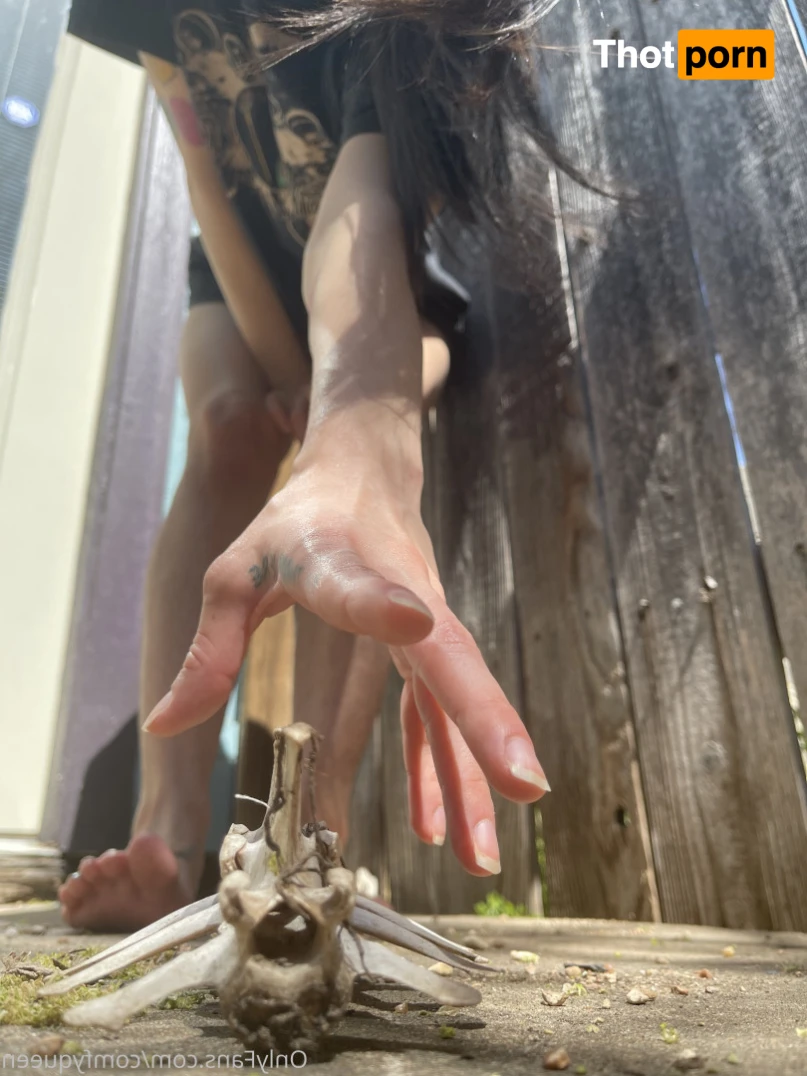 LuxxxTheFox 16511214