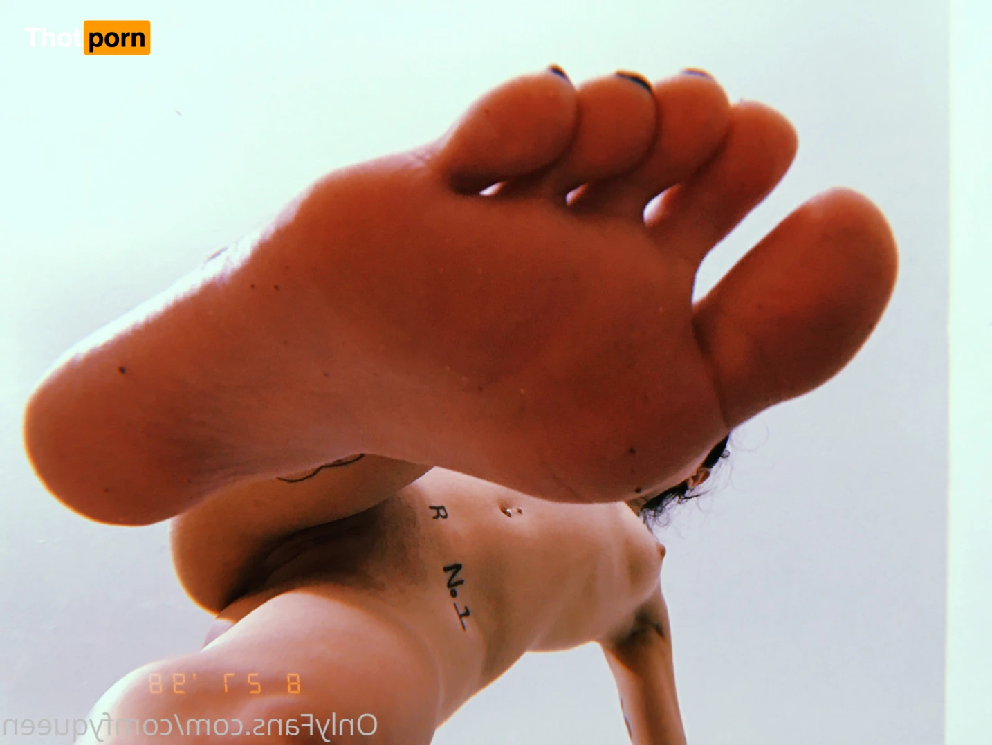 LuxxxTheFox 16511827