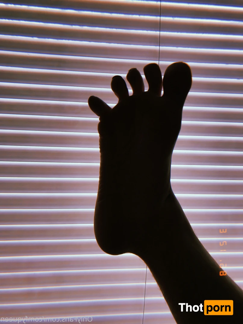 LuxxxTheFox 16529340