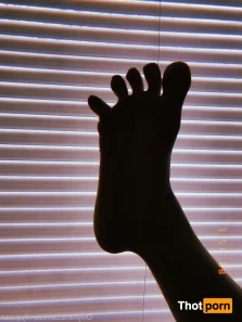 16529340
