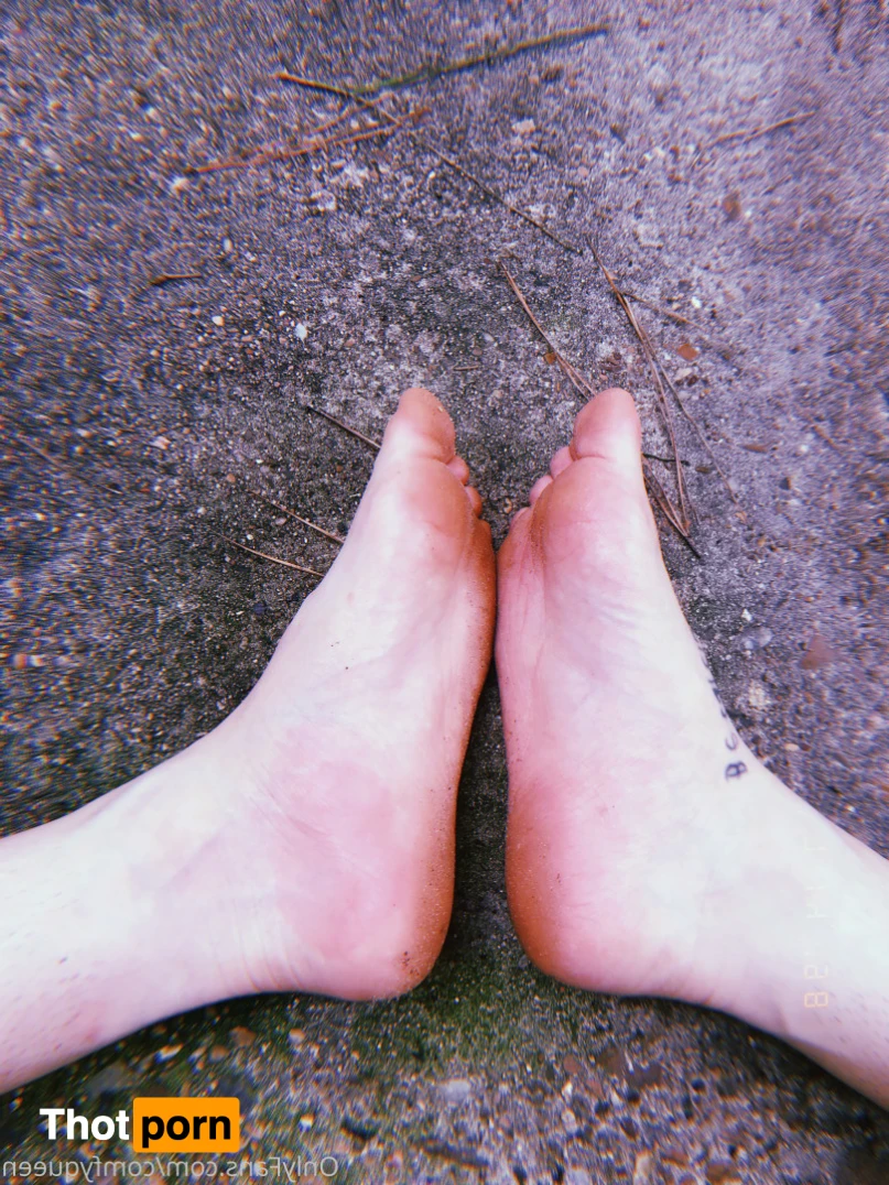 LuxxxTheFox 16529739