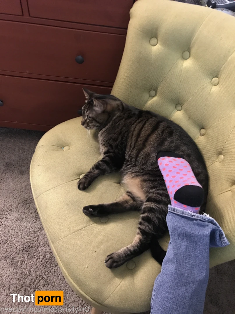 LuxxxTheFox 16530652