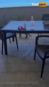 10827109