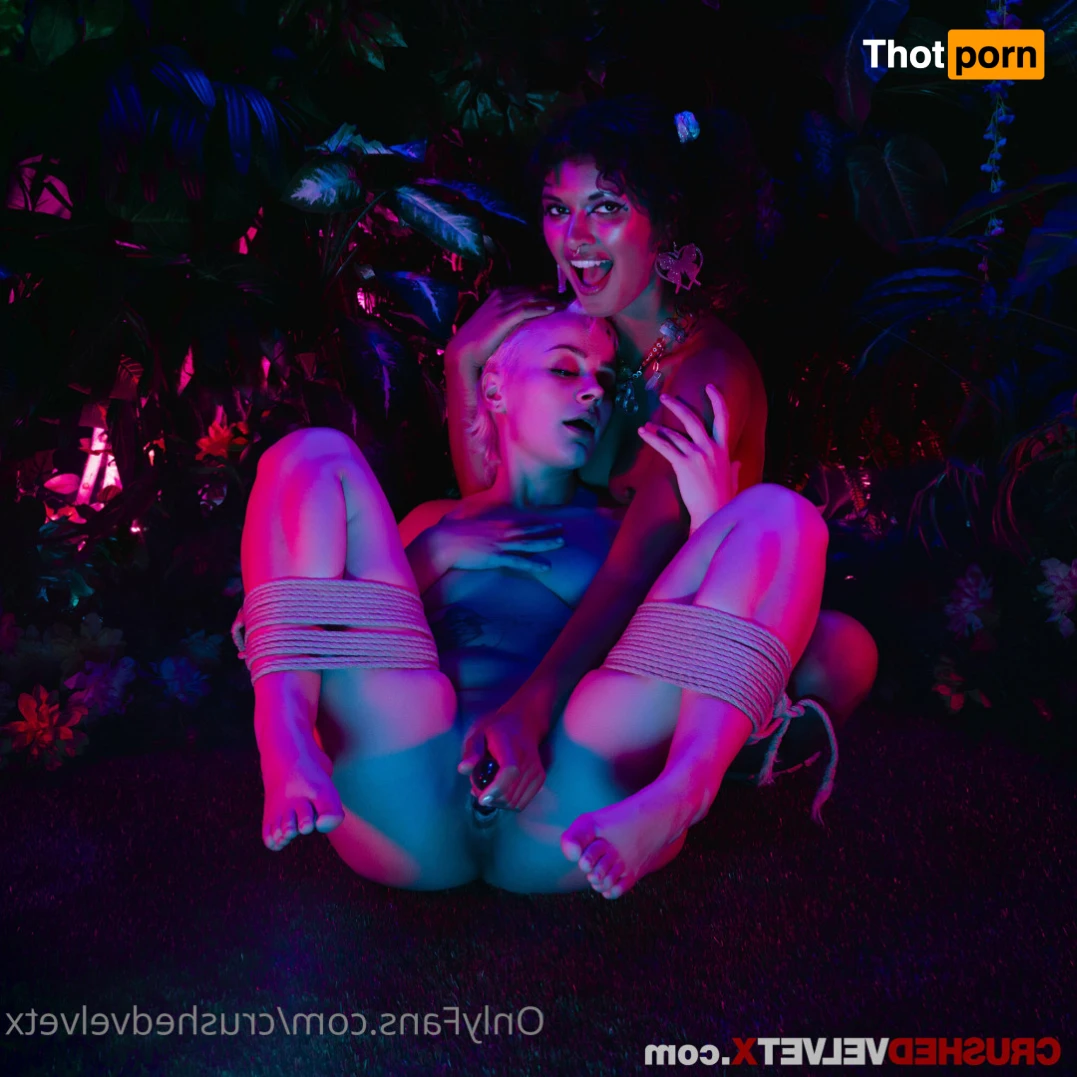 Crushed Velvet X 15183104