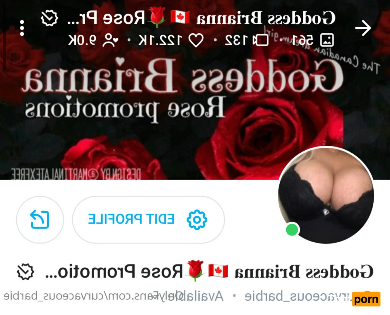 𝐆𝐨𝐝𝐝𝐞𝐬𝐬 𝐁𝐫𝐢𝐚𝐧𝐧𝐚 🇨🇦🌹Rose Promotions© 16420635