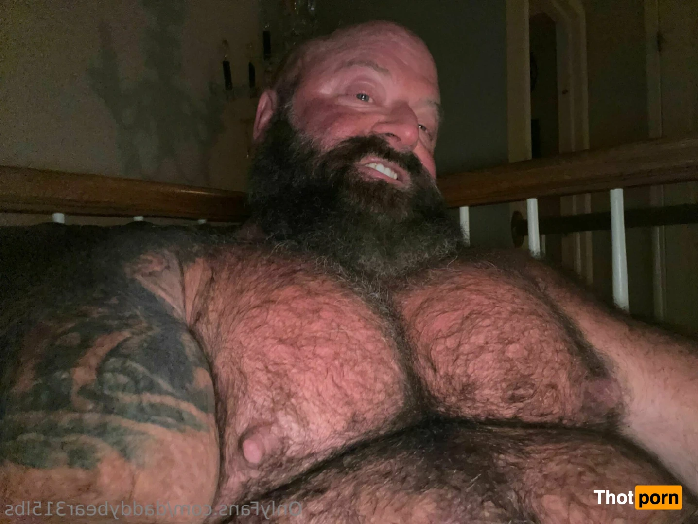315lbdaddybear 16042208