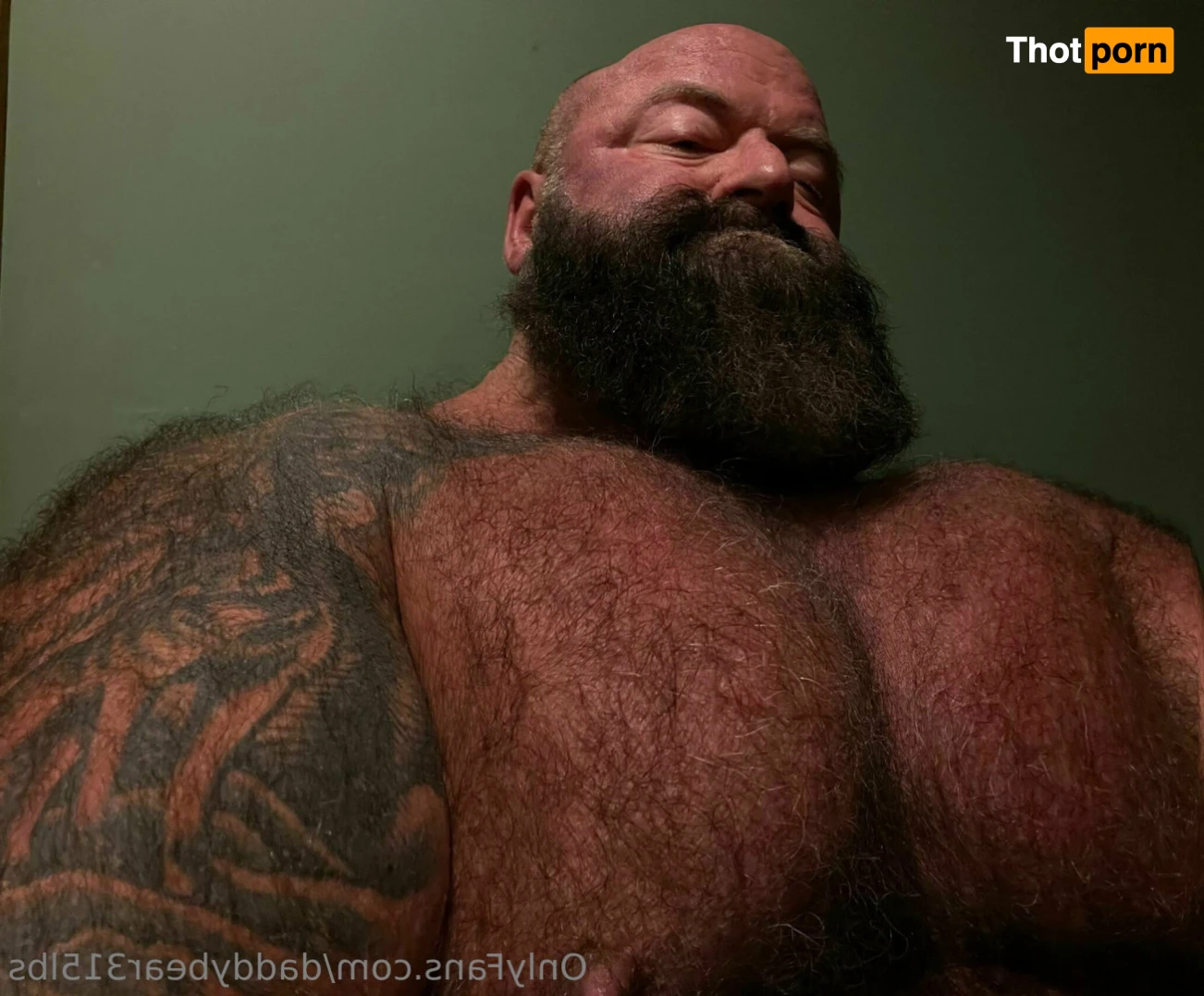 315lbdaddybear 16042535