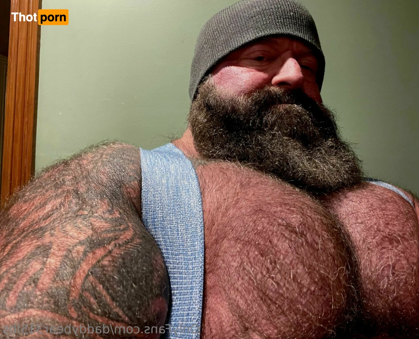 315lbdaddybear 16042555