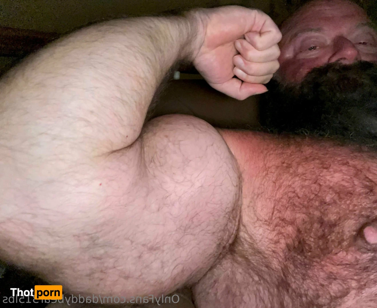 315lbdaddybear 16042666