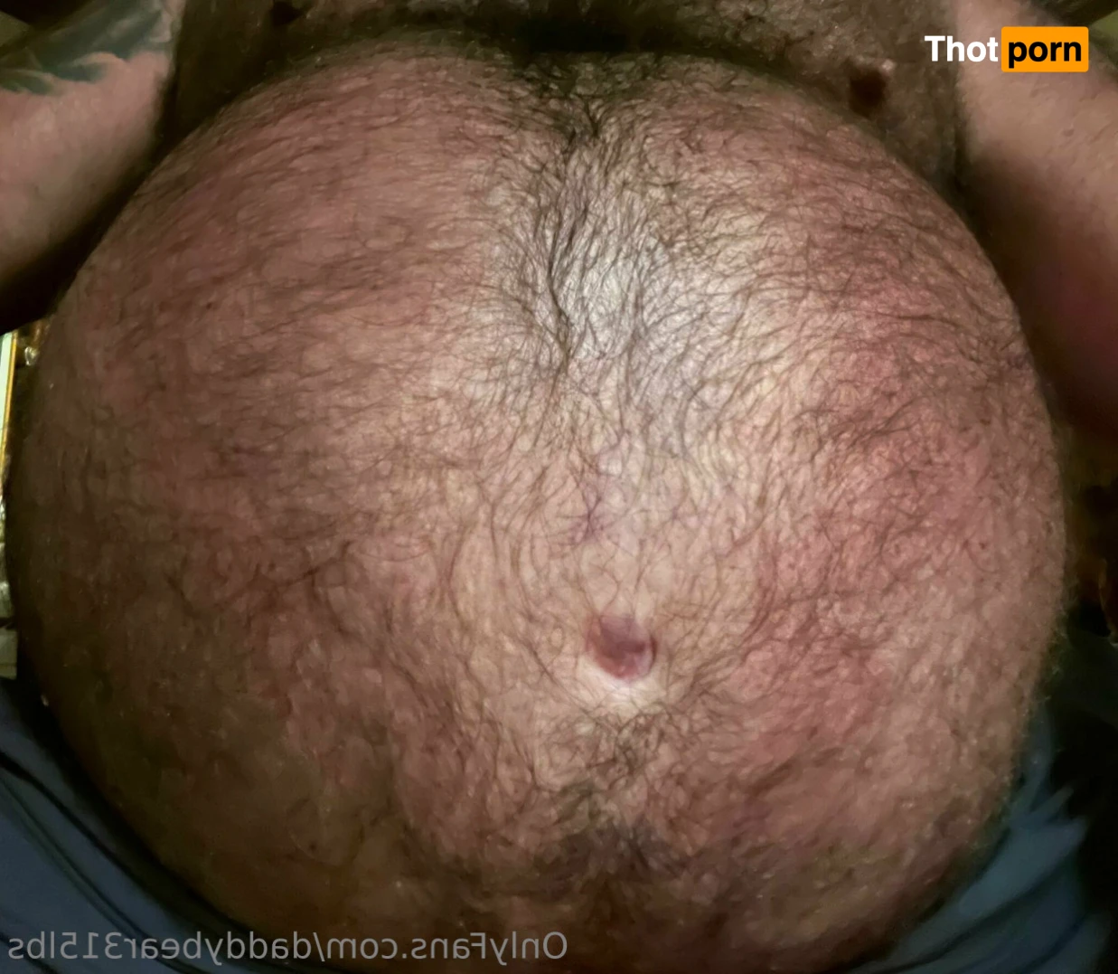 315lbdaddybear 16042688